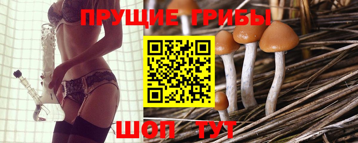 даркнет сайт  Вход с VPN  Белебей  Псилоцибиновые грибы прущие грибы 