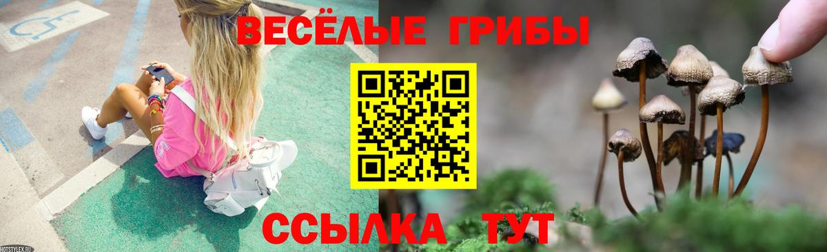 Галлюциногенные грибы мицелий Белебей